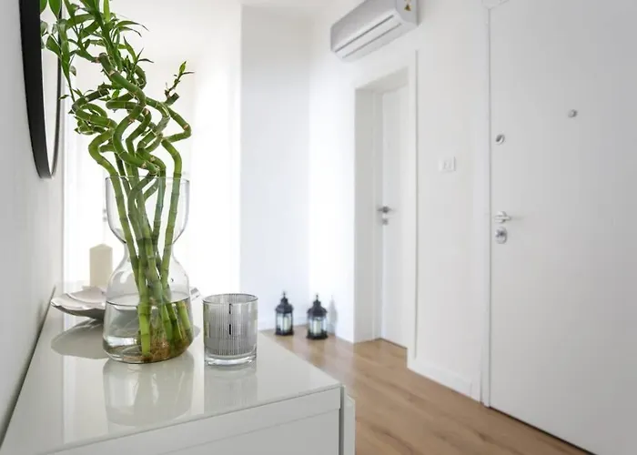 Tommy's Flat מסטרה